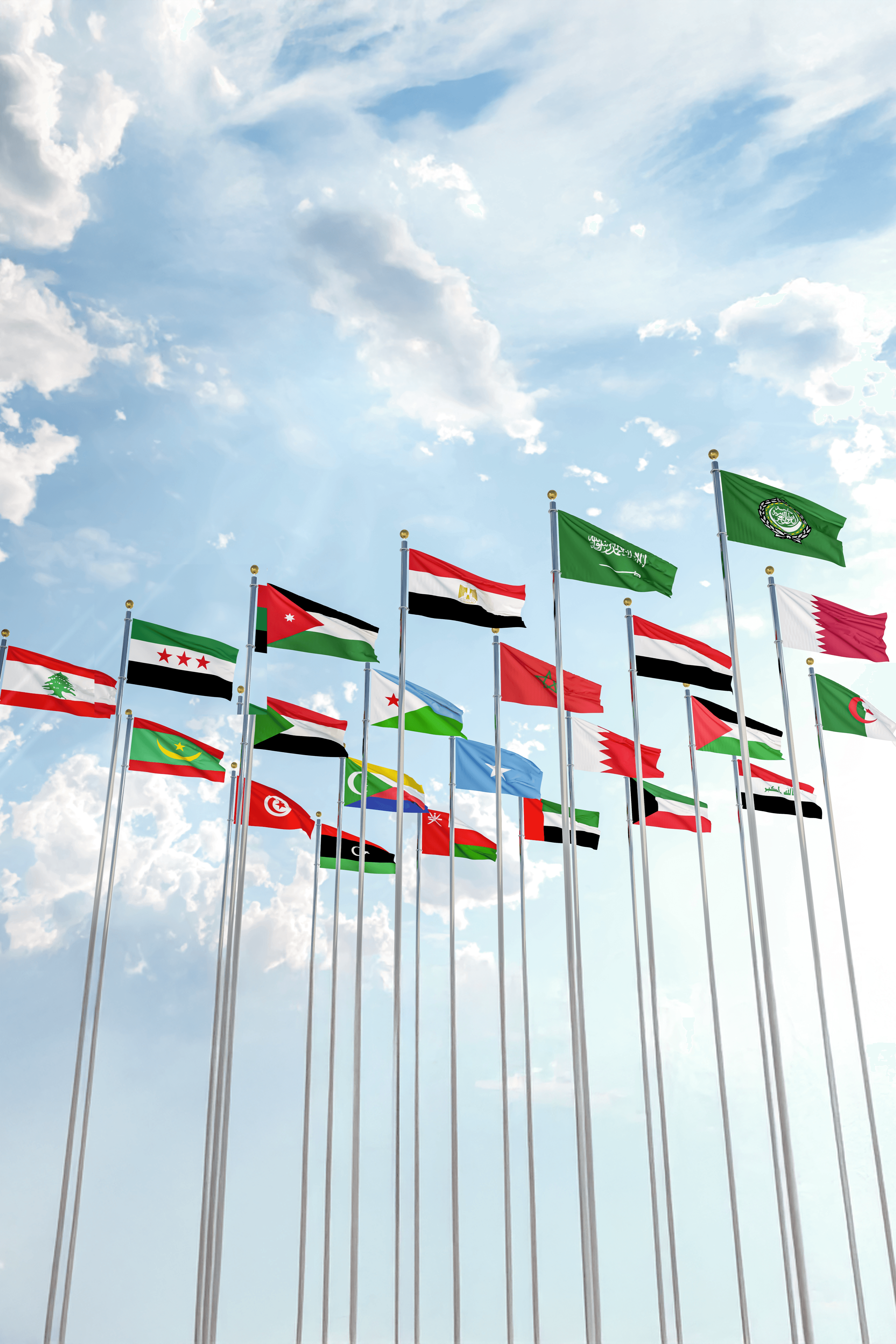 المستوى العربي